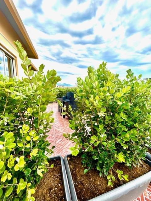 Aqua B&B - Rooms And Apartments Μιλάτσο Εξωτερικό φωτογραφία